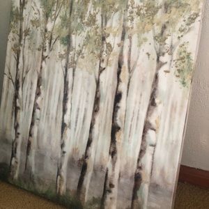 Birch Tree Scenic Canvas Picture